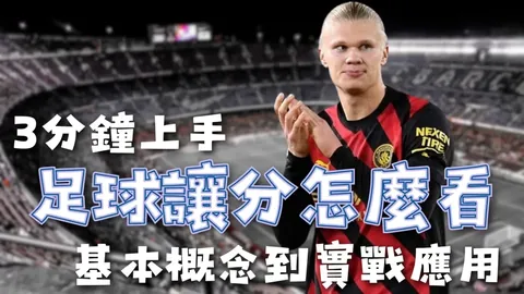 大乐透期号专家推荐：骑士猛龙抢七对决，谁将胜出