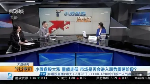 2026独家：米洛耶维奇备战攻略，针对性训练应对强敌